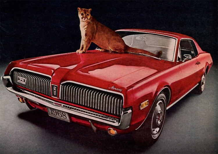 Cougar